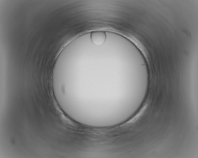 X0000112111001200908041148