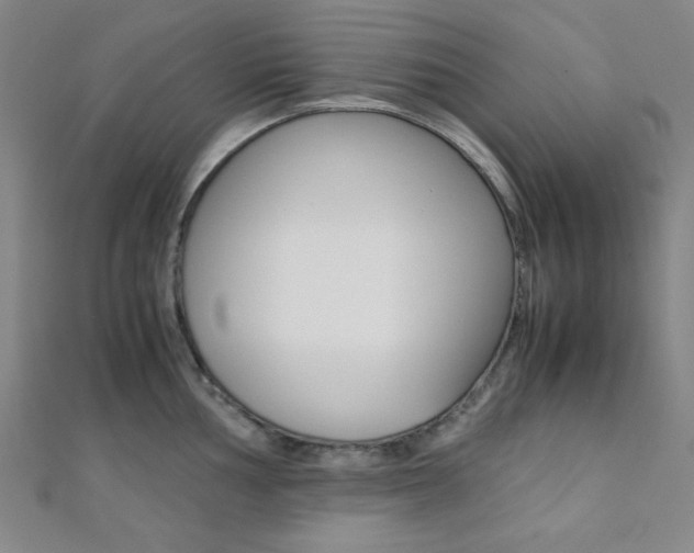 X0000112111002200908041148