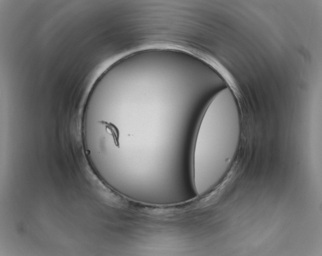 X0000112111004200908041148