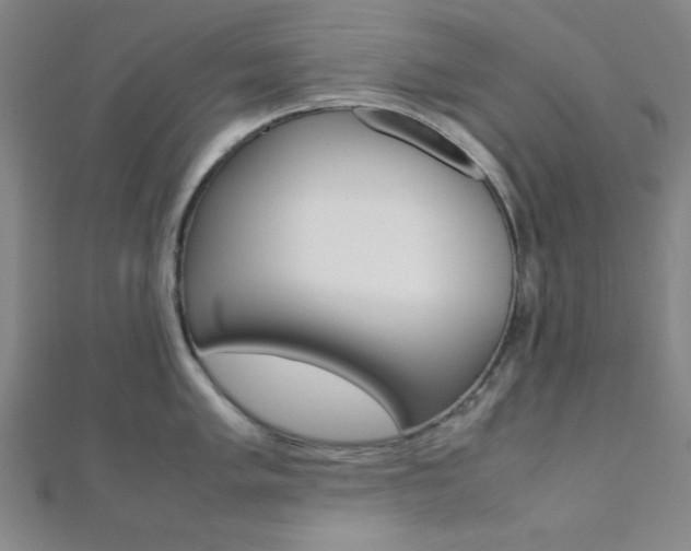 X0000112111005200908041148