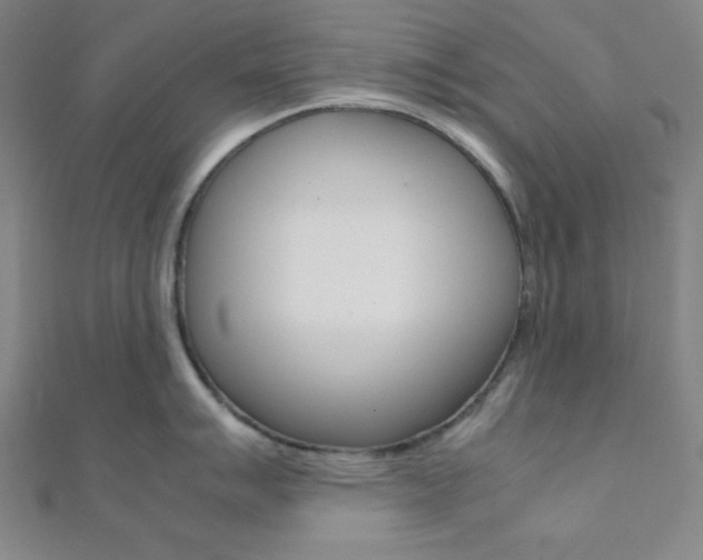 X0000112111007200908041148