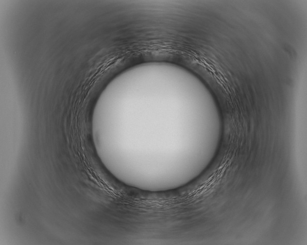 X0000112111009200908041147