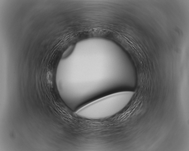 X0000112111010200908041147