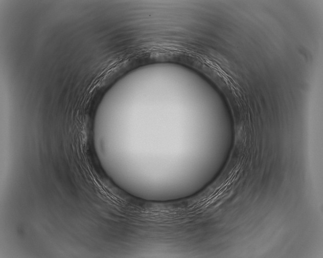 X0000112111012200908041147