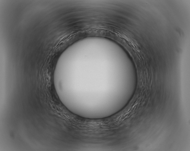 X0000112111013200908041147