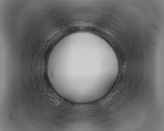 X0000112111014200908041147