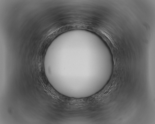 X0000112111015200908041147