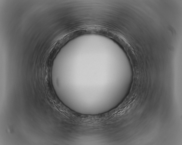 X0000112111016200908041147