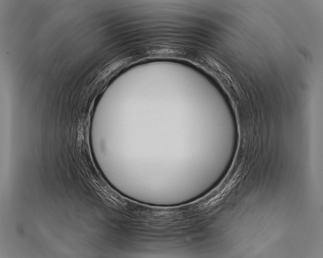 X0000112111017200908041147
