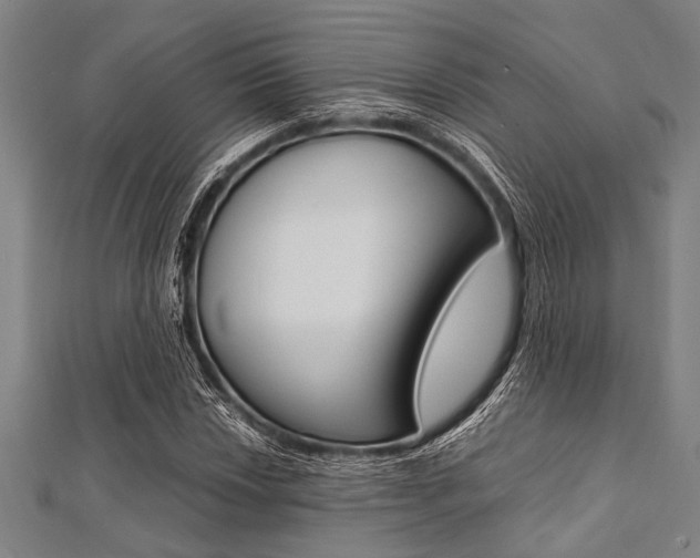 X0000112111018200908041147