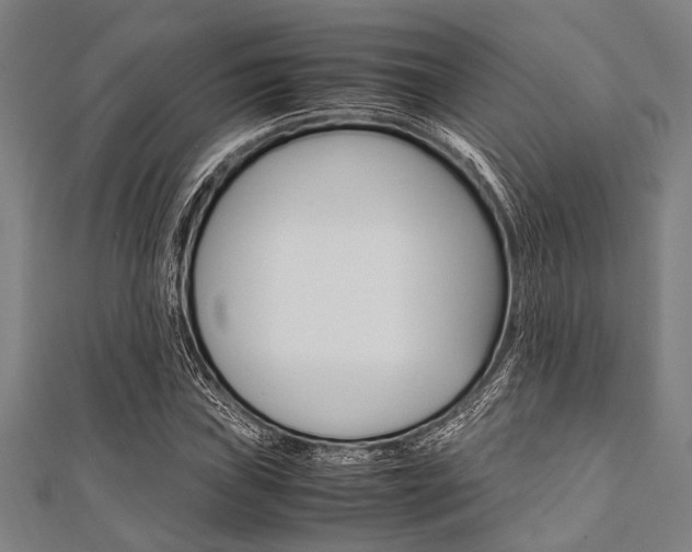 X0000112111019200908041147