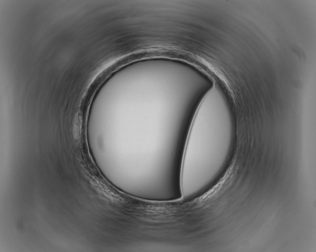 X0000112111021200908041147