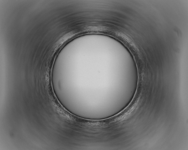 X0000112111025200908041147