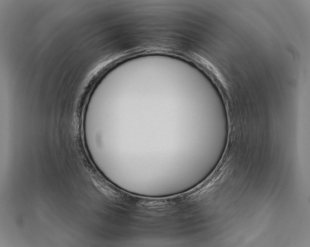 X0000112111027200908041147