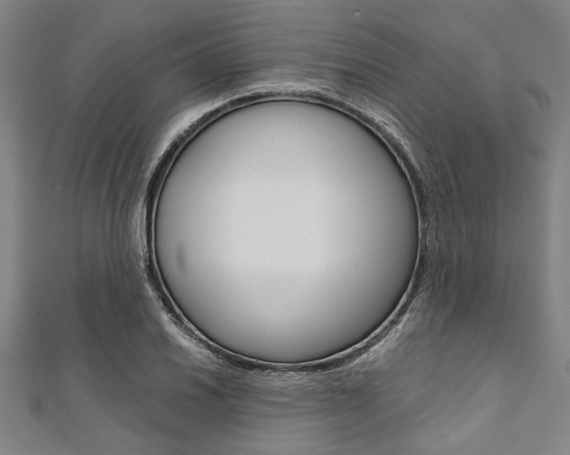 X0000112111030200908041147