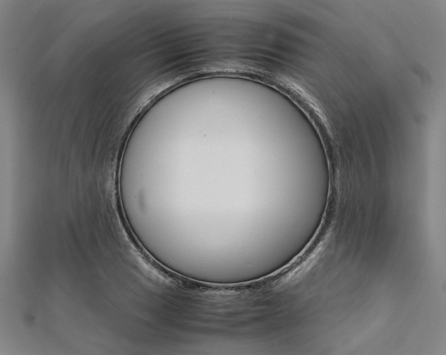 X0000112111033200908041147