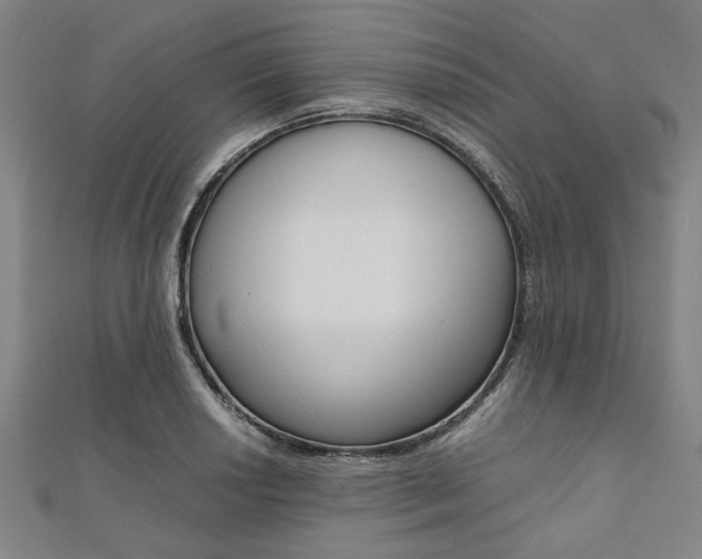 X0000112111034200908041147