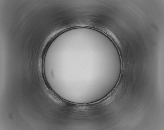 X0000112111035200908041147