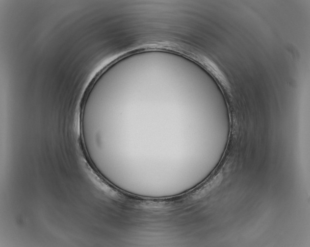 X0000112111036200908041147