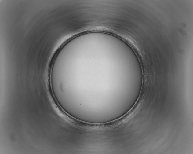 X0000112111038200908041147