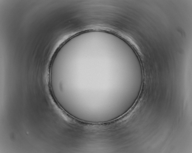 X0000112111040200908041147