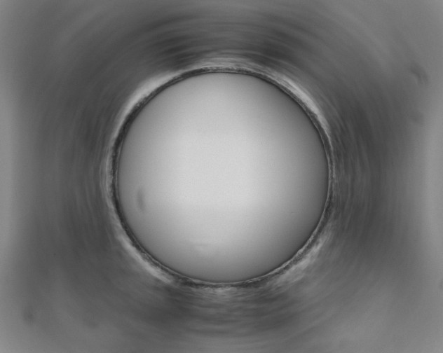 X0000112111045200908041147