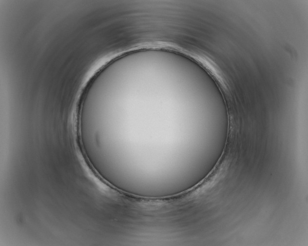 X0000112111046200908041147