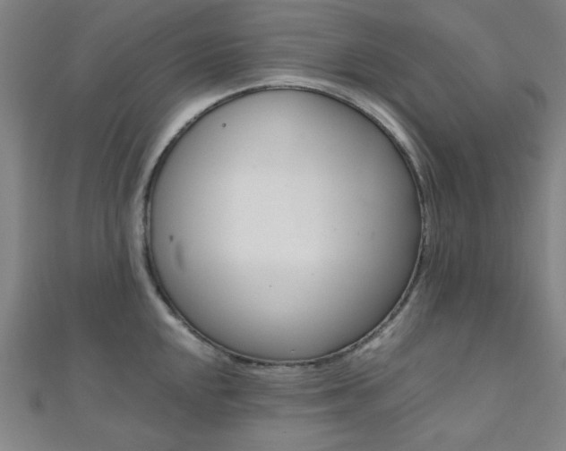 X0000112111048200908041147