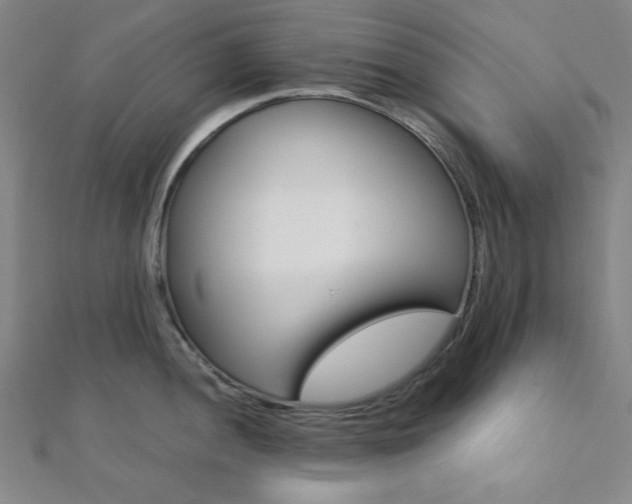 X0000112111052200908041147