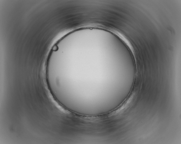 X0000112111053200908041147