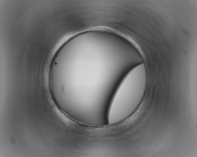 X0000112111054200908041147