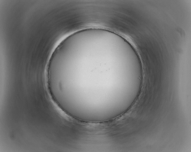 X0000112111056200908041147