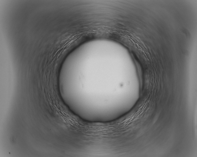 X0000112111057200908041147