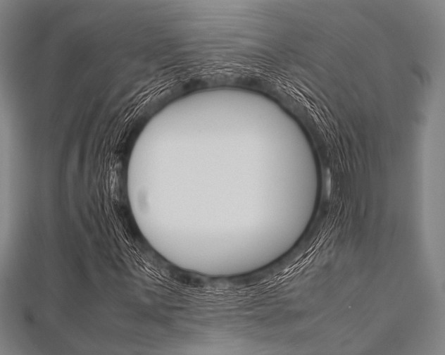 X0000112111059200908041147