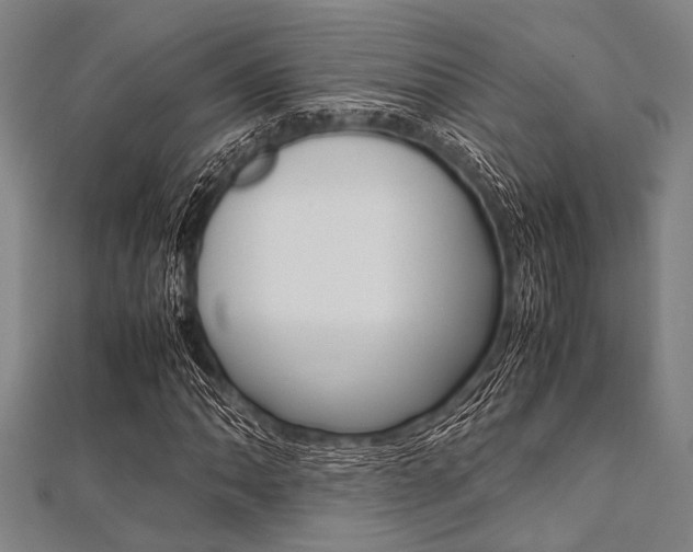 X0000112111062200908041147