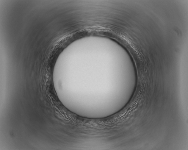 X0000112111063200908041147