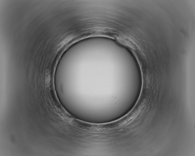 X0000112111065200908041147