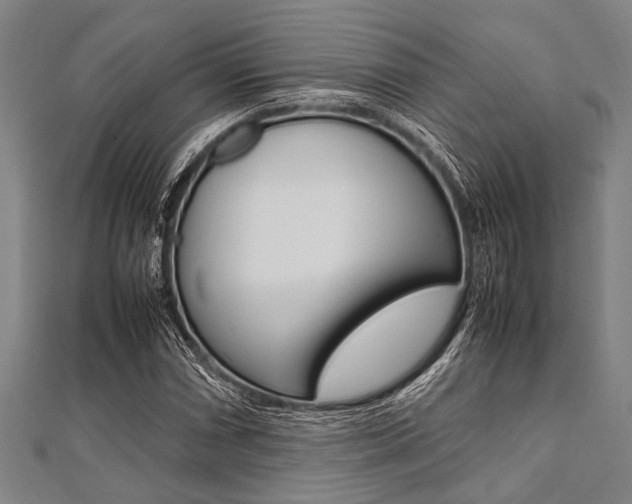 X0000112111066200908041147