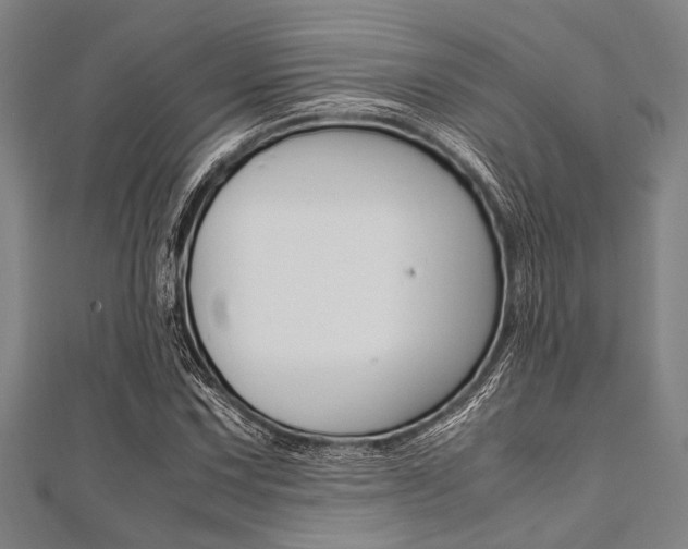 X0000112111067200908041147