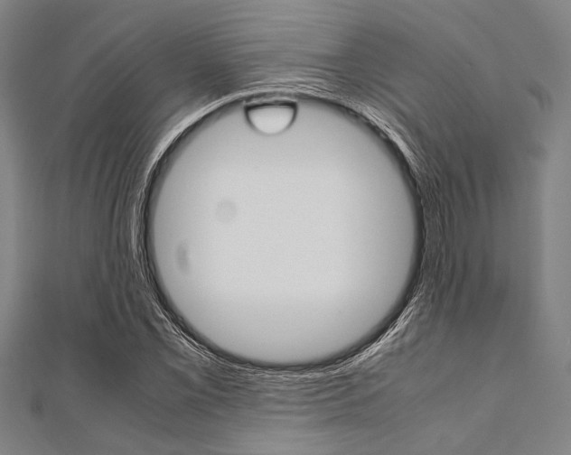 X0000112111069200908041147