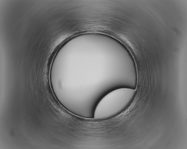 X0000112111071200908041147
