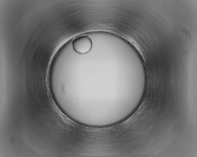 X0000112111072200908041147