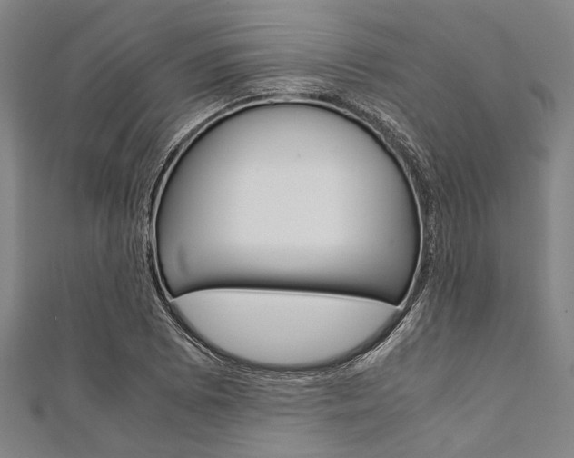 X0000112111073200908041147