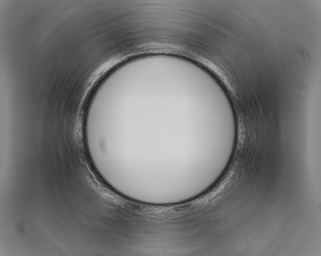 X0000112111074200908041147