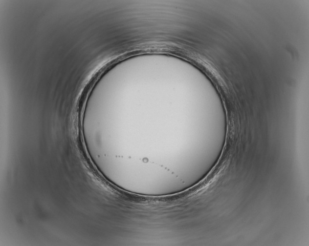 X0000112111075200908041147