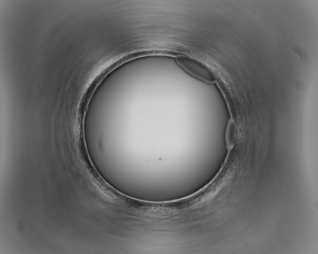 X0000112111077200908041147