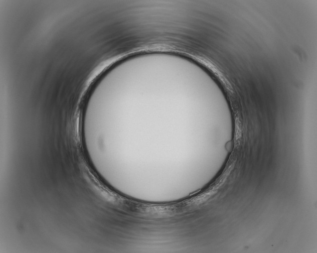 X0000112111078200908041147