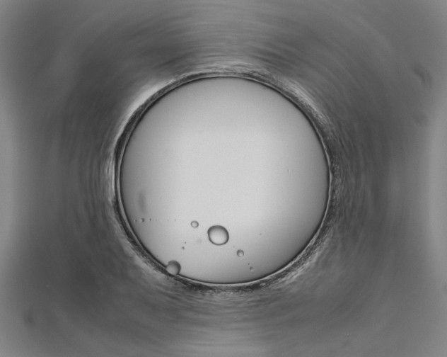 X0000112111079200908041147