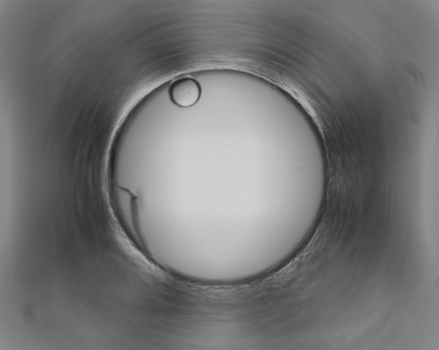 X0000112111080200908041147