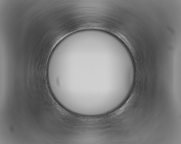 X0000112111081200908041147
